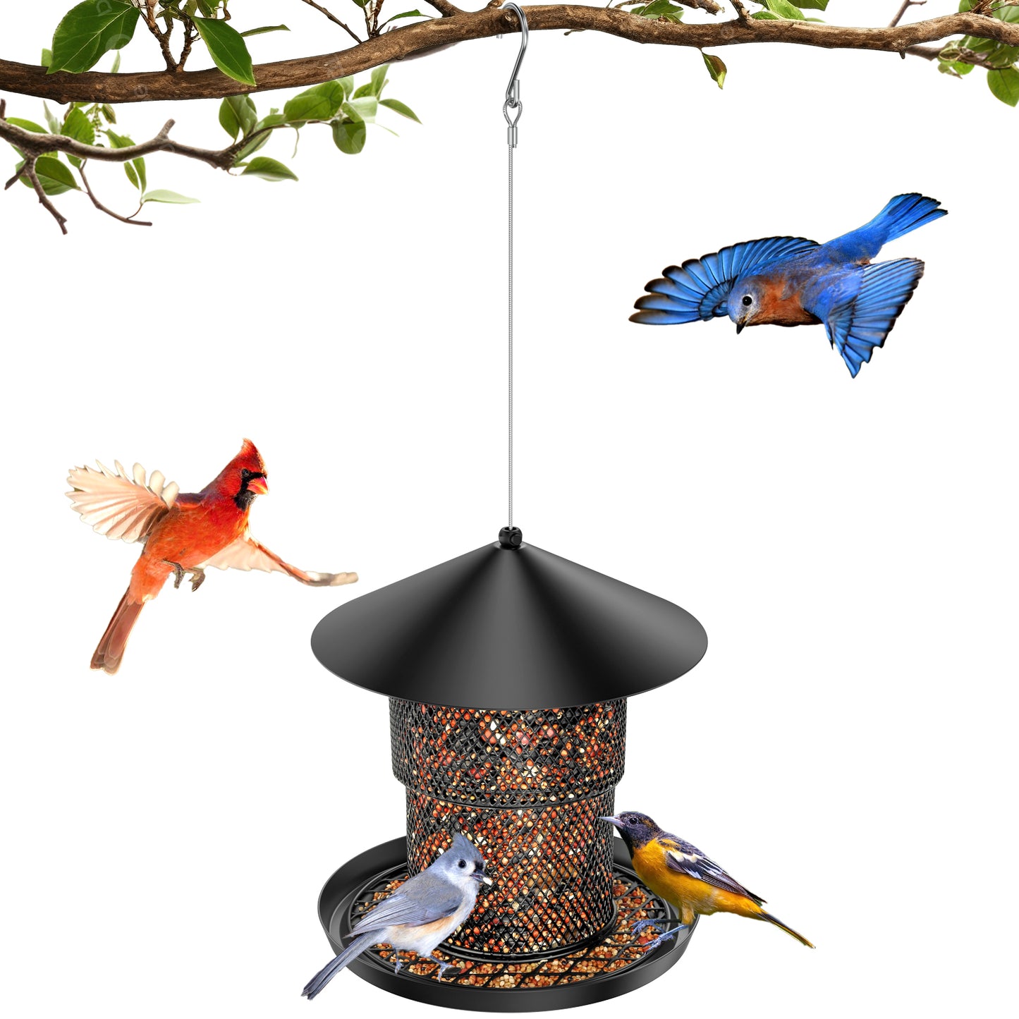 No Mess No Spill Bird Feeder for Outdoor
