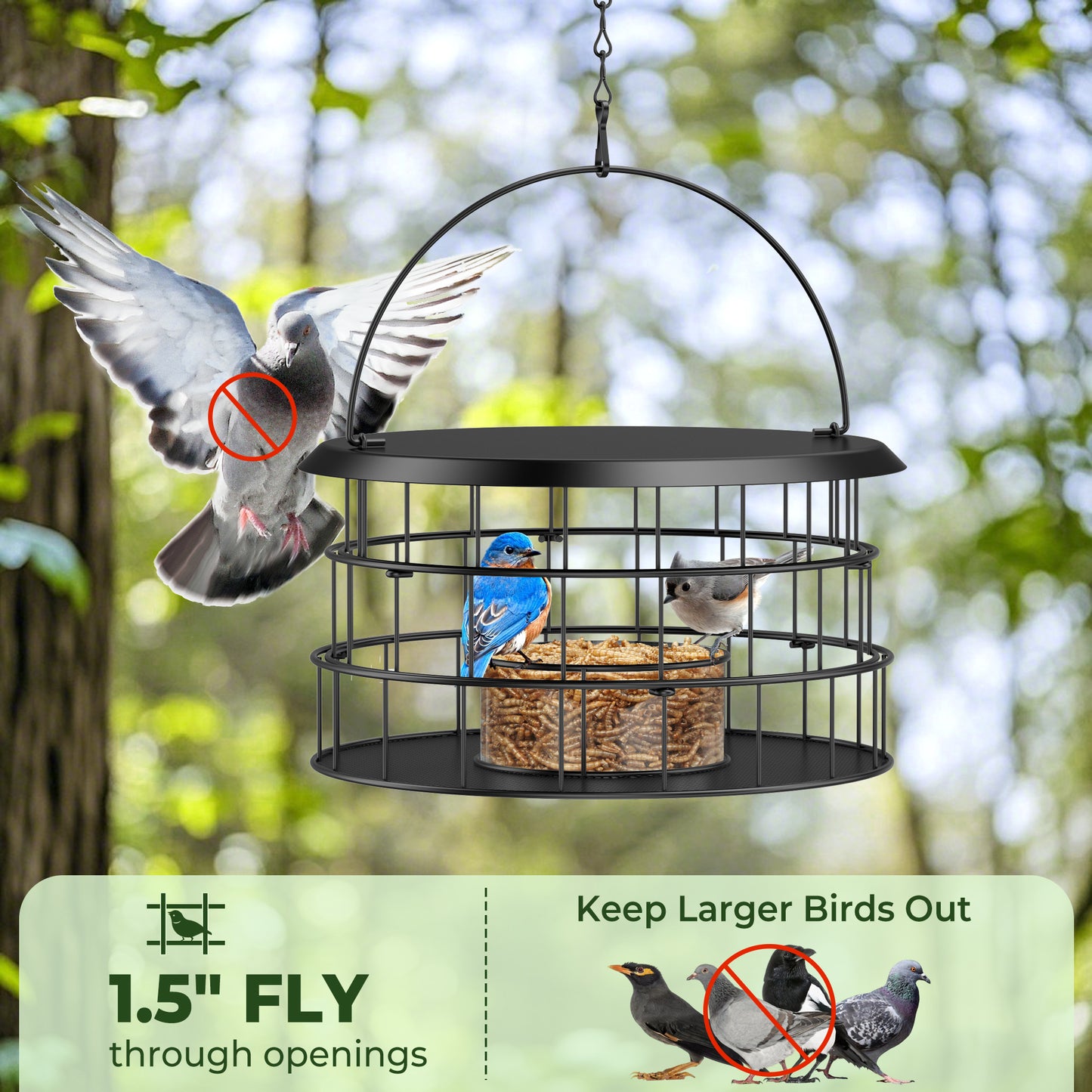 Bluebird Feeders for Outdoors Hanging