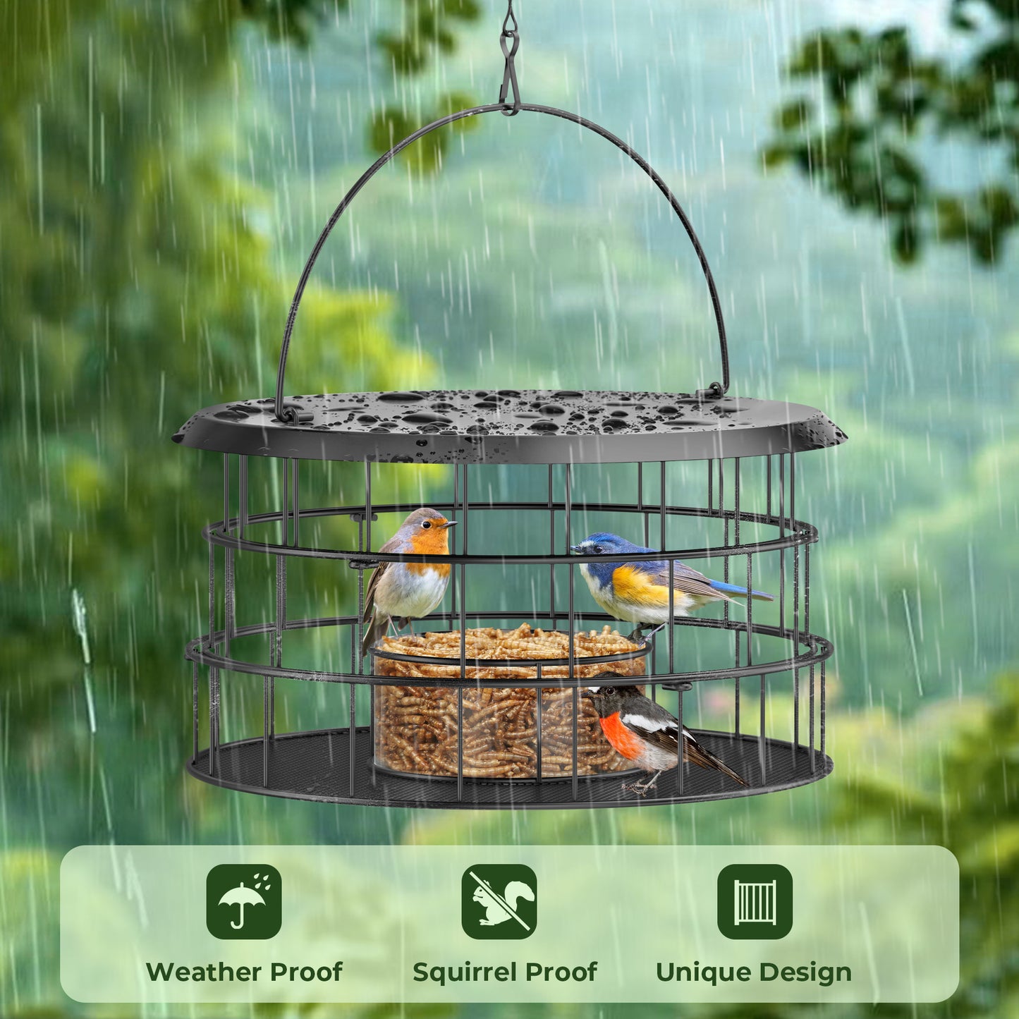 Bluebird Feeders for Outdoors Hanging