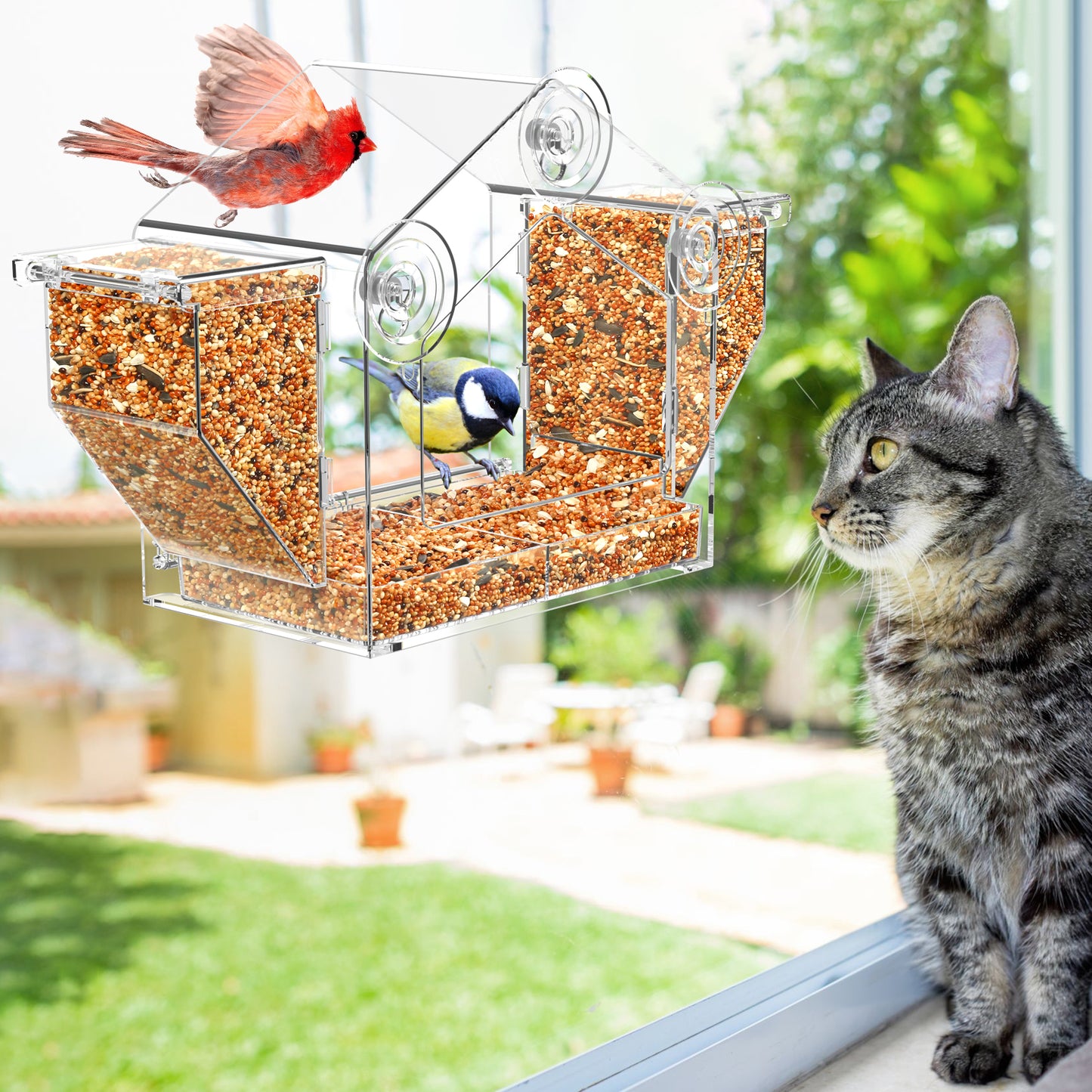 Window Bird Feeder with Dual Granary