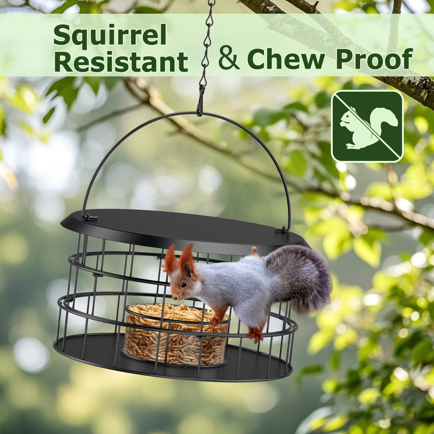 Bluebird Feeders for Outdoors Hanging