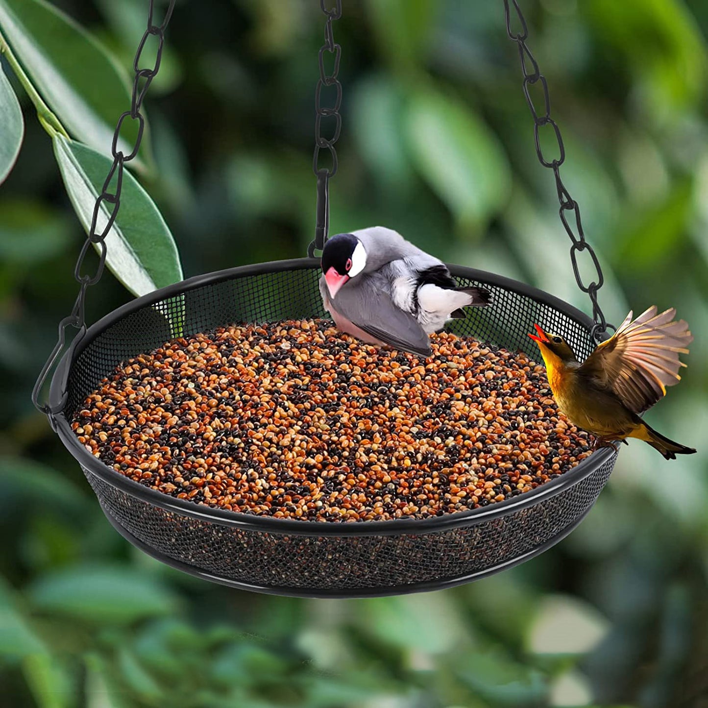 Bird Feeder Hanging for Garden Yard