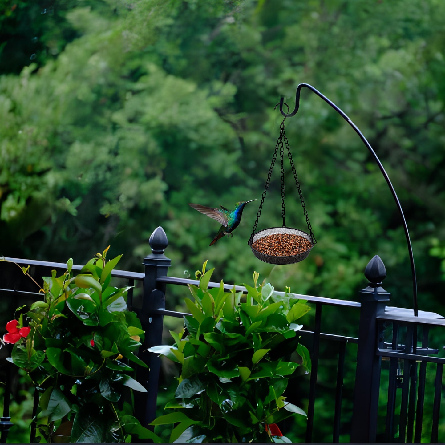 Bird Feeder Hanging for Garden Yard