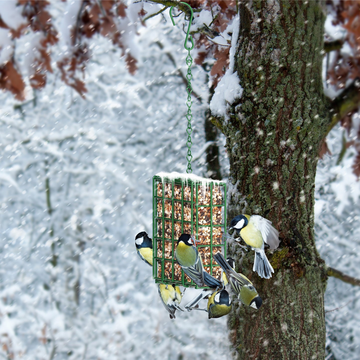 Suet Feeder Hanging Bird Feeder
