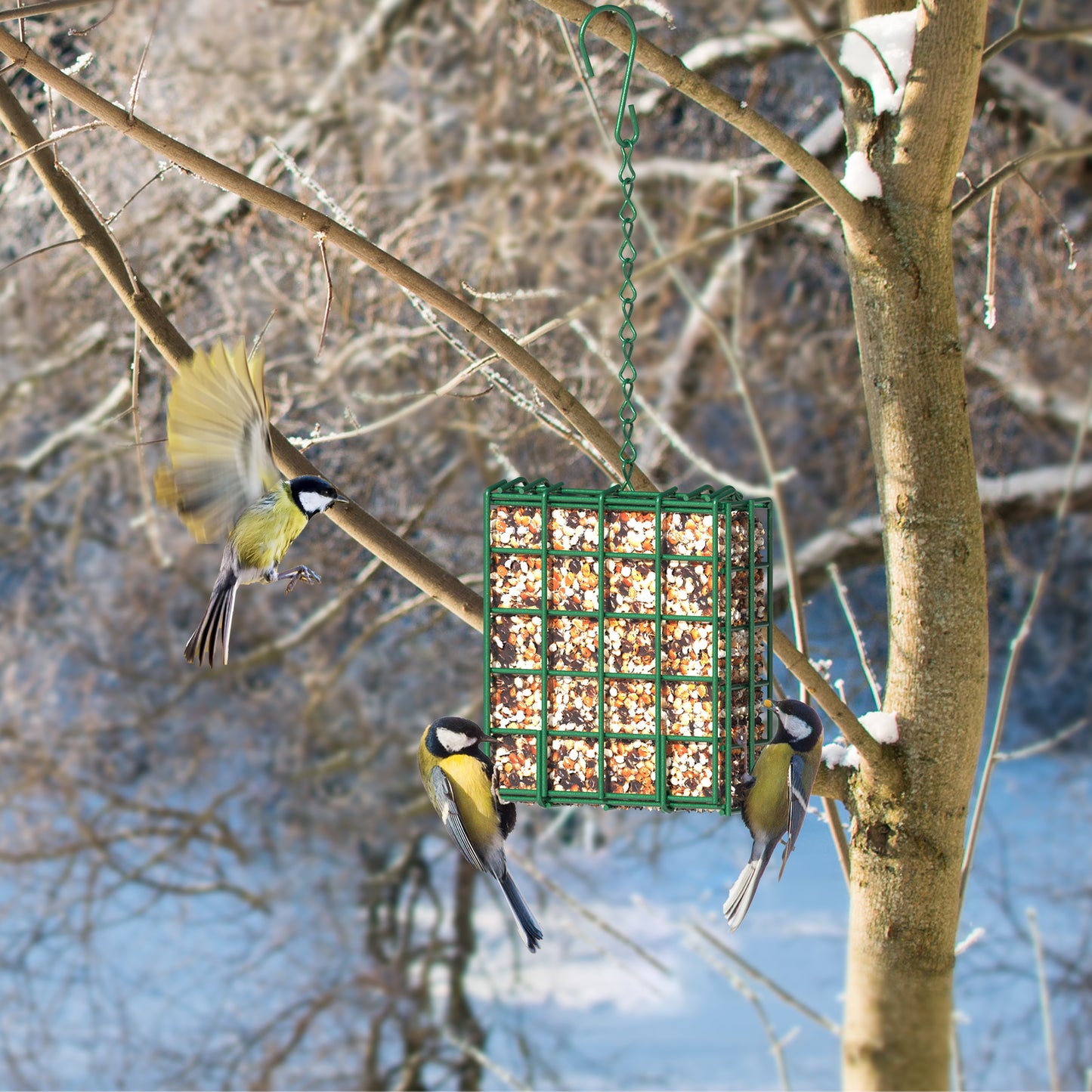 Suet Feeder Hanging Bird Feeder