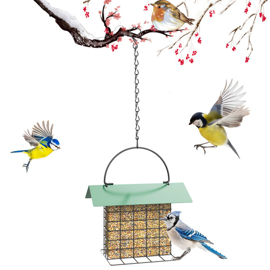 Suet Feeder Hanging Bird Feeder