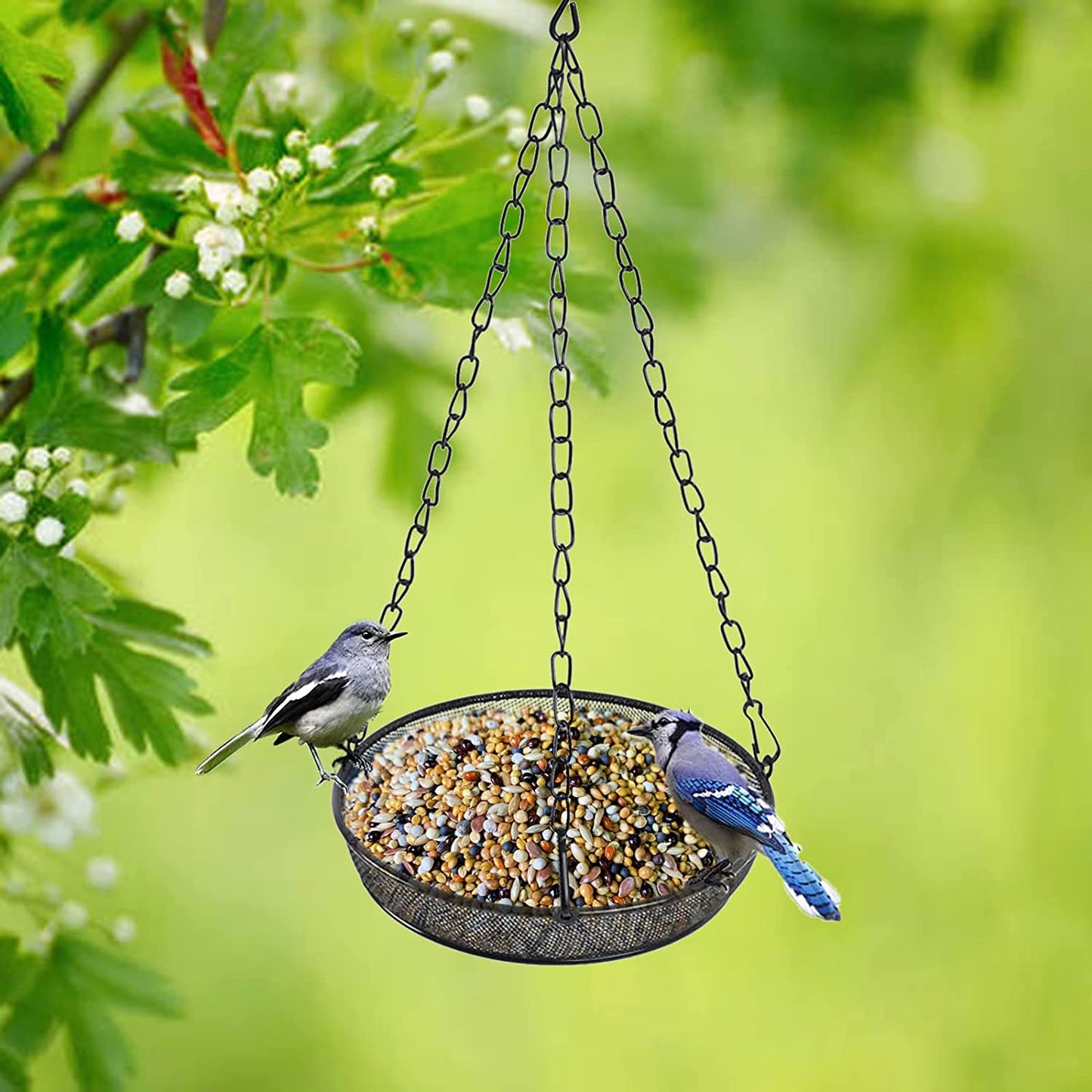 Bird Feeder Hanging for Garden Yard
