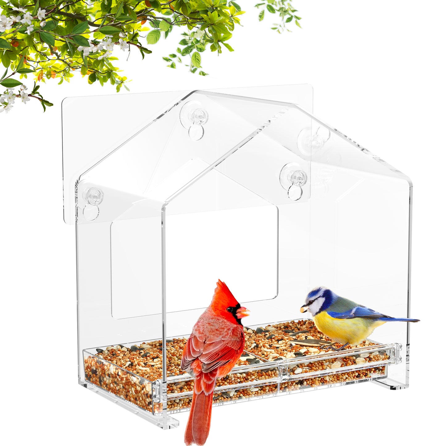 2025 Latest Clear Window Bird Feeder
