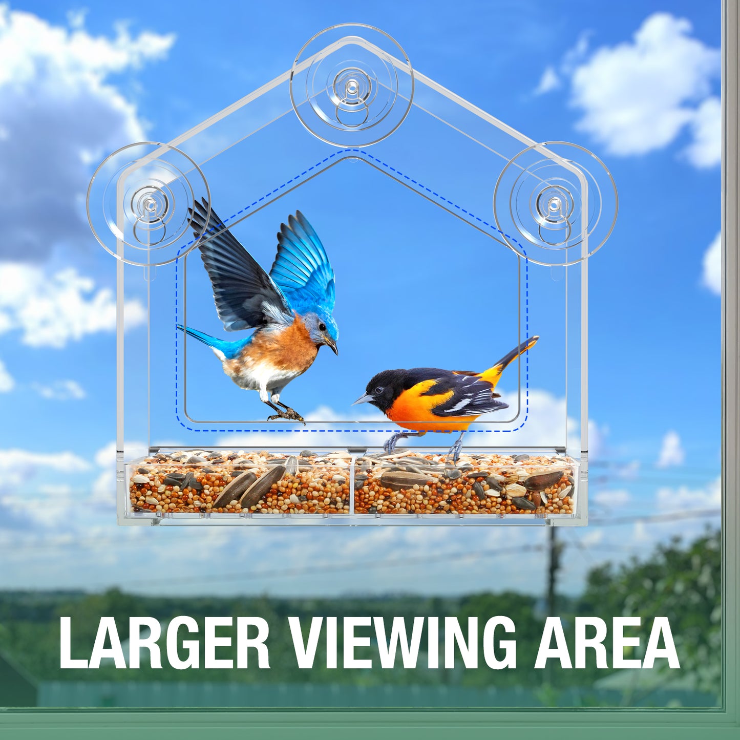 2025 Latest Clear Window Bird Feeder