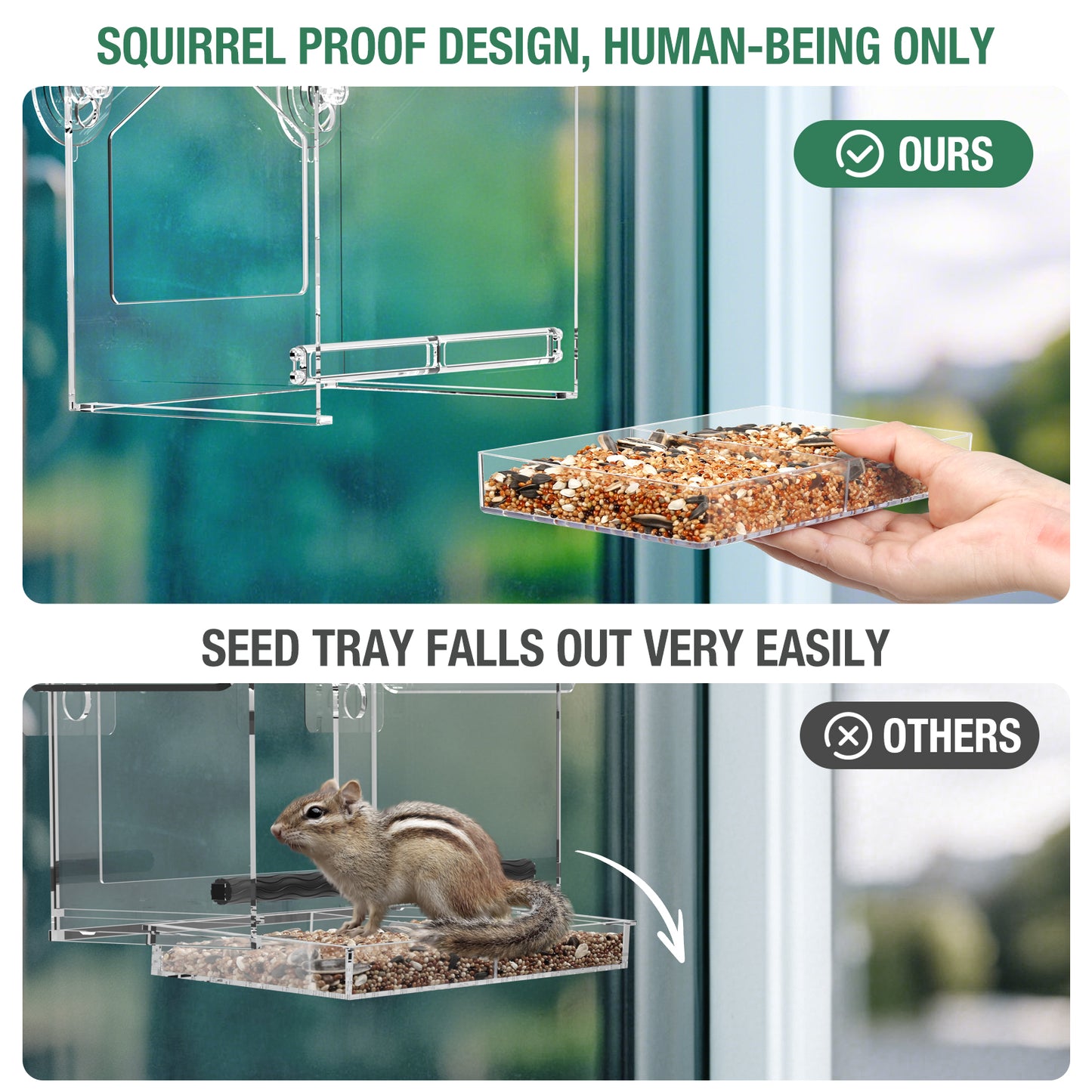2025 Latest Clear Window Bird Feeder
