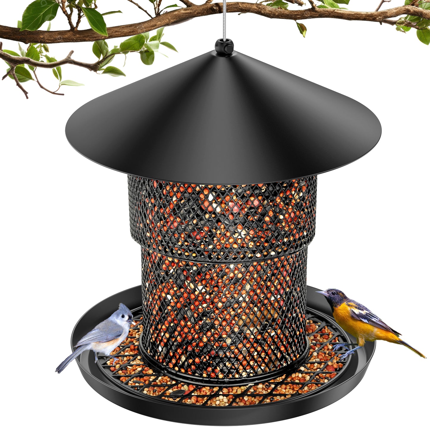 No Mess No Spill Bird Feeder for Outdoor