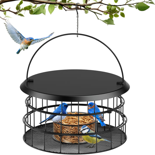 Bluebird Feeders for Outdoors Hanging